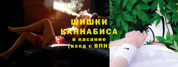 твердый Алексин