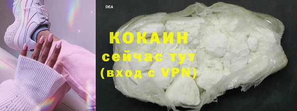 твердый Алексин