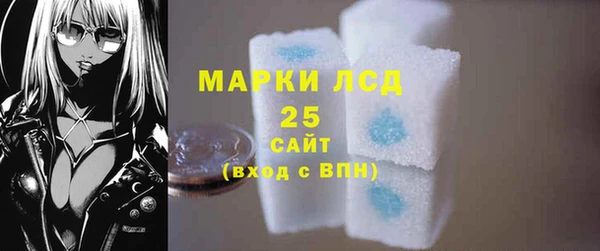индика Алзамай