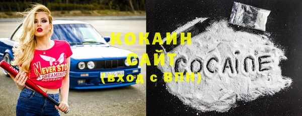 индика Алзамай