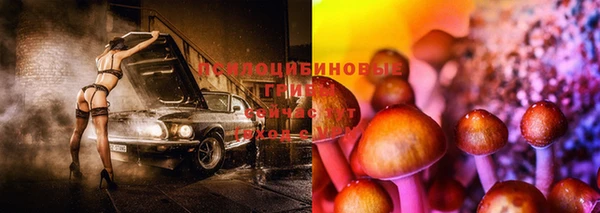 твердый Алексин