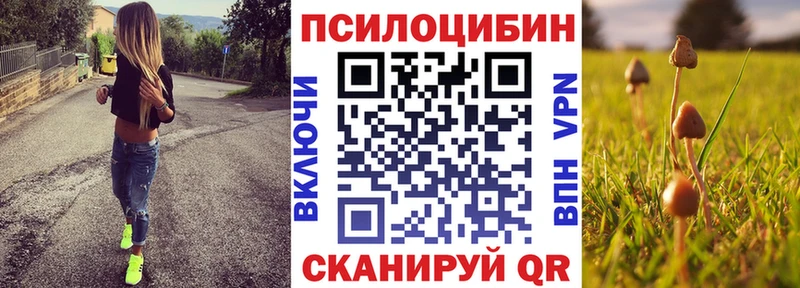Псилоцибиновые грибы Cubensis  Шумиха 